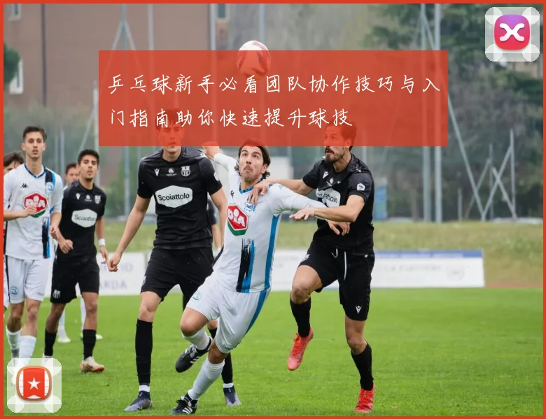 乒乓球新手必看团队协作技巧与入门指南助你快速提升球技