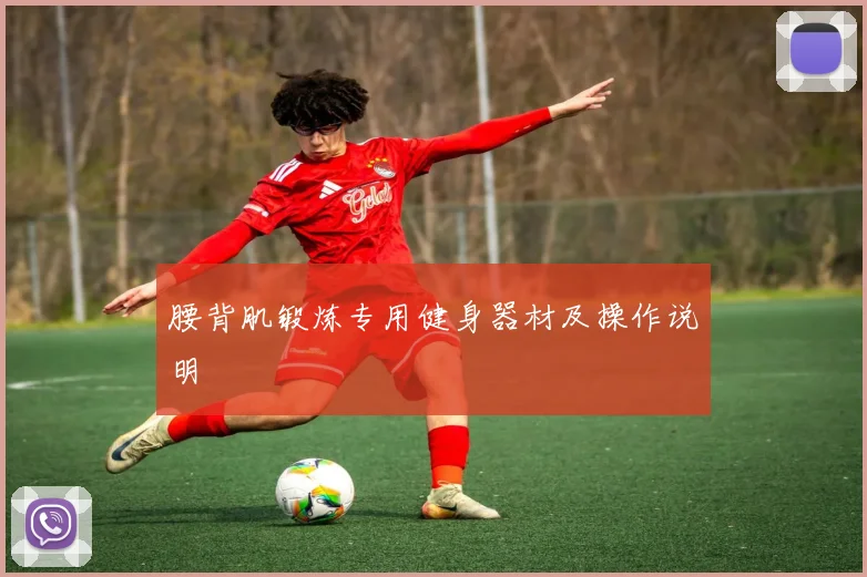 腰背肌锻炼专用健身器材及操作说明