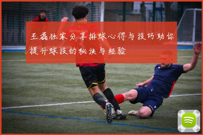 王磊独家分享排球心得与技巧助你提升球技的秘诀与经验